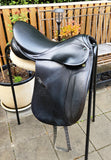 SOLD.....17" STUBBEN ROXANE DRESSAGE XW