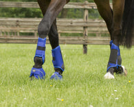 QHP EVENT BOOTS COBALT