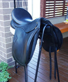 SOLD......17" PH ALIVIA XW