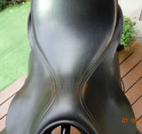 SOLD............17" ANKY SALINERO MW-W
