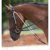 Chambon Training Aid