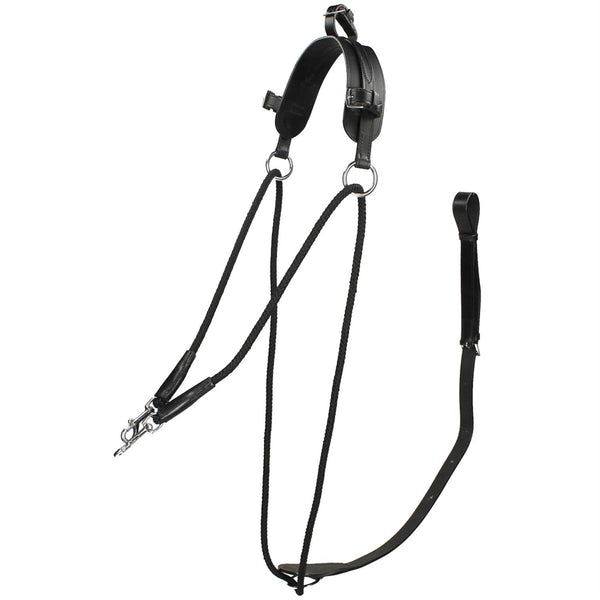 Chambon Training Aid