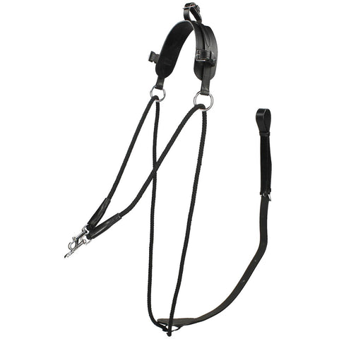 Chambon Training Aid