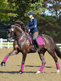 Classic Ear Bonnet PLUM