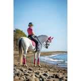 LEMIEUX LUXURY SUEDE DRESSAGE FRENCH ROSE L