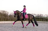 LEMIEUX LUXURY SUEDE DRESSAGE FRENCH ROSE L