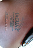 SOLD.....17" HARRY DABBS JAGUAR AP/JUMP SADDLE MW-W....ON HOLD